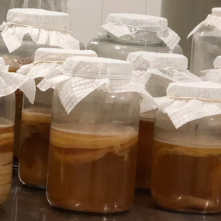 Dentro de uma kombucha: a mágica (bem científica) da fermentação artesanal