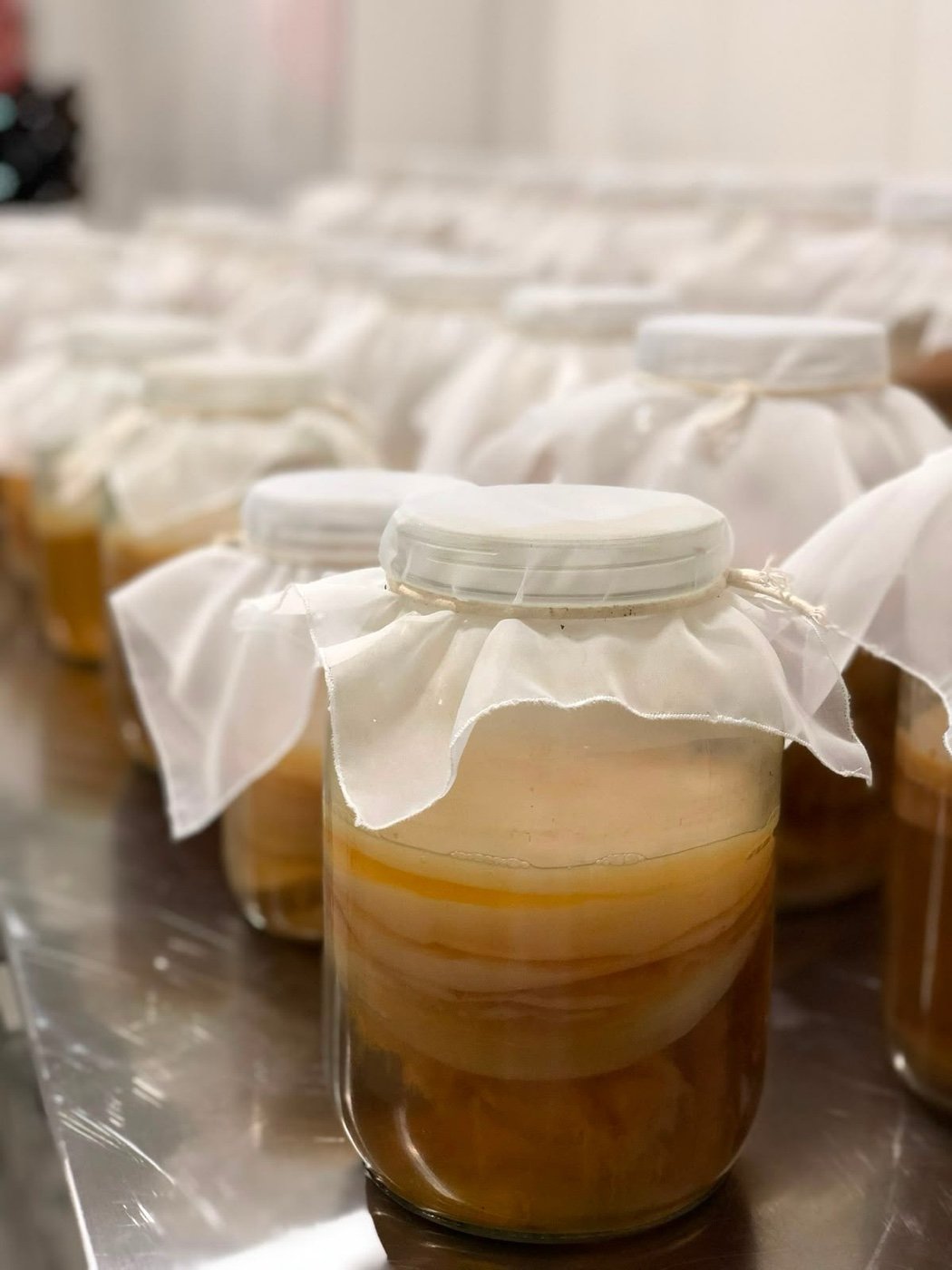Potes de fermentação na fábrica da Jong